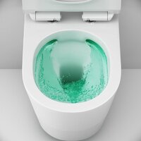 AM.PM Sunny Flashclean C85C1701SC (с сиденьем) Image #5