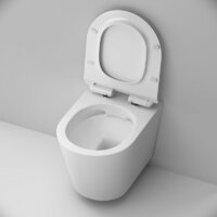 AM.PM Sunny Flashclean C85C1701SC (с сиденьем) Image #4