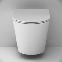 AM.PM Sunny Flashclean C85C1701SC (с сиденьем) Image #2