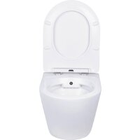 Roxen Antares Bidet в комплекте с инсталляцией StounFix Dual Fresh 6 в 1 868484 (кнопка: золото глянцевая) Image #7