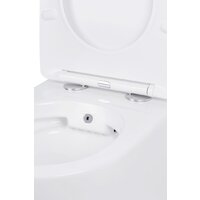 Roxen Antares Bidet в комплекте с инсталляцией StounFix Dual Fresh 6 в 1 868484 (кнопка: золото глянцевая) Image #8