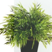 Triton Терра-Хром 120х90 (без поддона) Image #4