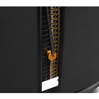 Bronze Gym Might 09 Image #3