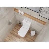 Lauter W09 P-TRAP с жестким сиденьем и микролифтом 21900002 (горизонтальный выпуск) Image #7