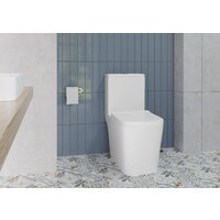 Lauter W09 S-TRAP с жестким сиденьем и микролифтом 21900004 (вертикальный выпуск) Image #11