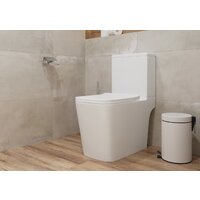 Lauter W09 S-TRAP с жестким сиденьем и микролифтом 21900004 (вертикальный выпуск) Image #6