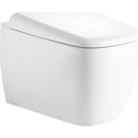 Roxen Martin в комплекте с инсталляцией StounFix Dual Fresh 6 в 1 868564 (кнопка: белый) Image #9