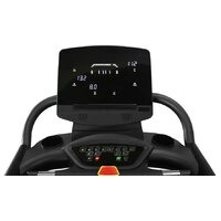 Bronze Gym T900M Image #5