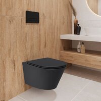 Lauter Longer 2110822B + 21901001 (кнопка 219704J, черный) Image #11