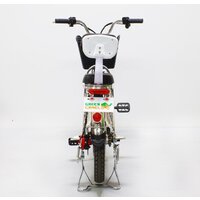 GreenCamel Транк-18 V2 R18 (250W 60V 20Ah) Image #7