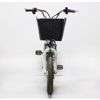 GreenCamel Транк-18 V2 R18 (250W 60V 20Ah) Image #10