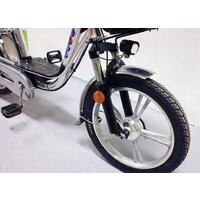 GreenCamel Транк-18 V2 R18 (250W 60V 20Ah) Image #8