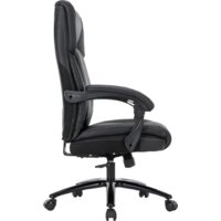 CHAIRMAN CH415 (черный) Image #3