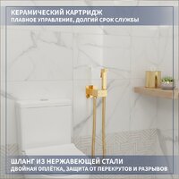 Lauter Vortex 2110012VF + гигиенический душ Rainix 21LT7714GL Image #8