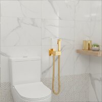 Lauter Vortex 2110012VF + гигиенический душ Rainix 21LT7714GL Image #27