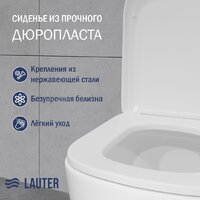 Lauter Vortex 2110012VF + гигиенический душ Rainix 21LT7714GL Image #3