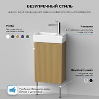 Wellsee Тумба под умывальник 3 в 1 WC Area 221803004 (тумба/матовый бежевый, раковина/глянцевый белый, ножки/нержавеющая сталь) Image #8