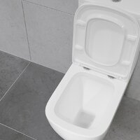 Lauter Vortex 2110012VF + гигиенический душ Daze 21GN3132BM Image #23