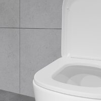 Lauter Vortex 2110012VF + гигиенический душ Daze 21GN3132BM Image #22