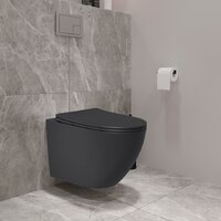 Lauter Augsburg с жестким сиденьем Soft Close 21109EC (черный матовый, скрытое крепление) Image #4