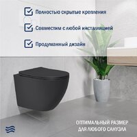 Lauter Augsburg с жестким сиденьем Soft Close 21109EC (черный матовый, скрытое крепление) Image #2