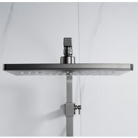 Rose R1556T Image #10