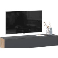 Трия Глосс ТД-319.03.11 (яблоня беллуно/стекло графит матовый)