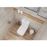 Lauter W09 P-TRAP 21900001 + гигиенический душ Jet 21TZ232BM (горизонтальный выпуск) Image #10