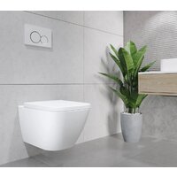 Lauter Nuremberg 21811 + 21901001 (белый, с кнопкой смыва 219704HD черный) Image #10