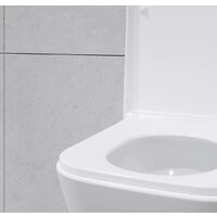 Lauter Nuremberg 21811 + 21901001 (белый, с кнопкой смыва 219704HD черный) Image #27