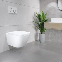 Lauter Nuremberg 21811 + 21901001 (белый, с кнопкой смыва 219704HD черный) Image #11