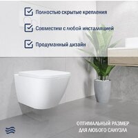 Lauter Nuremberg 21811 + 21901001 (белый, с кнопкой смыва 219704F черный) Image #3