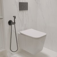 Oliveeka OL-MQ-003 + OL-5014 + OL-R22-BGM (матовый оружейный металл) Image #6