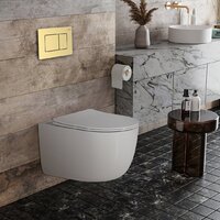 Roxen Vortex в комплекте с инсталляцией StounFix Dual Fresh 6 в 1 968483 (кнопка: брашированное золото) Image #2