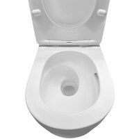 Roxen Vortex в комплекте с инсталляцией StounFix Dual Fresh 6 в 1 968483 (кнопка: брашированное золото) Image #6