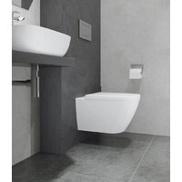 Lauter Nuremberg 21811 + 21901001 (белый, с кнопкой смыва 219704E черный) Image #18