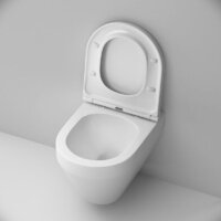 AM.PM Spirit V2.0 Aquaspin C701900SC (с сиденьем) Image #5