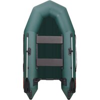 Leader Boats Тайга-290-М 2902021 (зеленый)