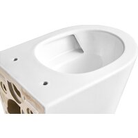 Grado GD-W201T + GROHE Rapid SL 38772001 (с кнопкой смыва) Image #6