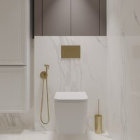 Oliveeka OL-MQ-003 + OL-5014 + OL-R22-BG (матовое золото) Image #2