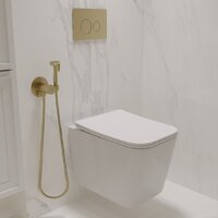 Oliveeka OL-MQ-003 + OL-5014 + OL-R22-BG (матовое золото) Image #4