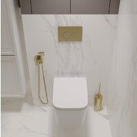 Oliveeka OL-MQ-003 + OL-5014 + OL-R22-BG (матовое золото) Image #3