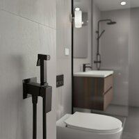 Lauter W236 2110236 + гигиенический душ Rinse 21GN4052BM Image #24