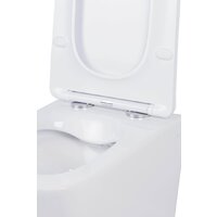 Roxen Boro в комплекте с инсталляцией StounFix Dual Fresh 6 в 1 968466 (кнопка: брашированное золото) Image #10