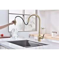 Paulmark Iniversal Un213880-LG (золото/светлое брашированное золото) Image #7