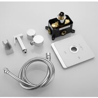 Rose R105С Image #4