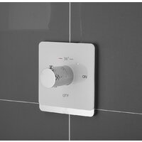 Rose R105С Image #11