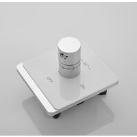 Rose R105С Image #13