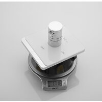 Rose R105С Image #2