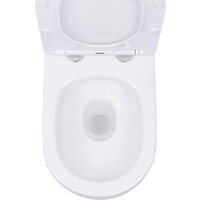 Roxen Antares в комплекте с инсталляцией StounFix Dual Fresh 6 в 1 868543 (кнопка: белый глянцевая) Image #12